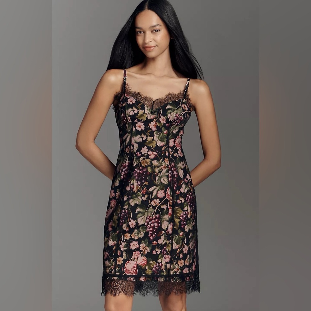 NWT Anthropologie Maeve Floral Fruit Mesh Lace Slip Dress, Size XS